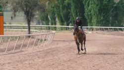 CNNE 583293 - pirque y sus 150 caballos de fuerza