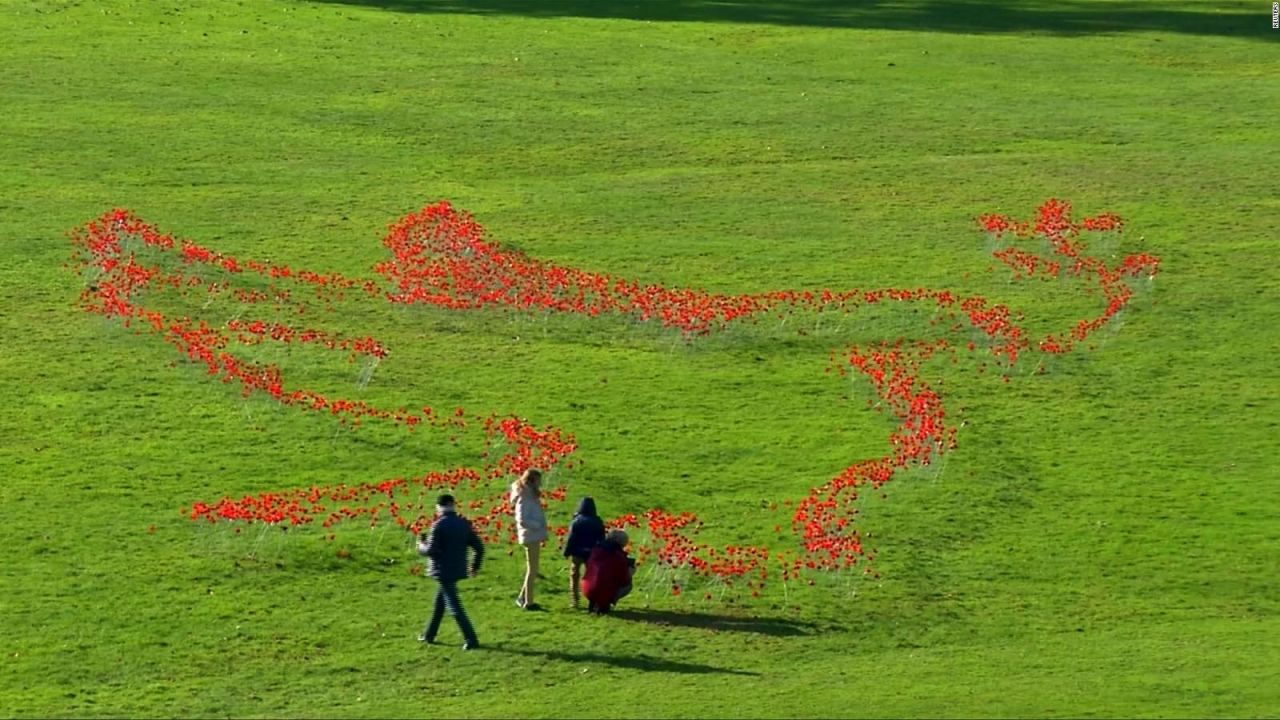 CNNE 583799 - #laimagendeldia- conmemoran el fin de la primera guerra mundial