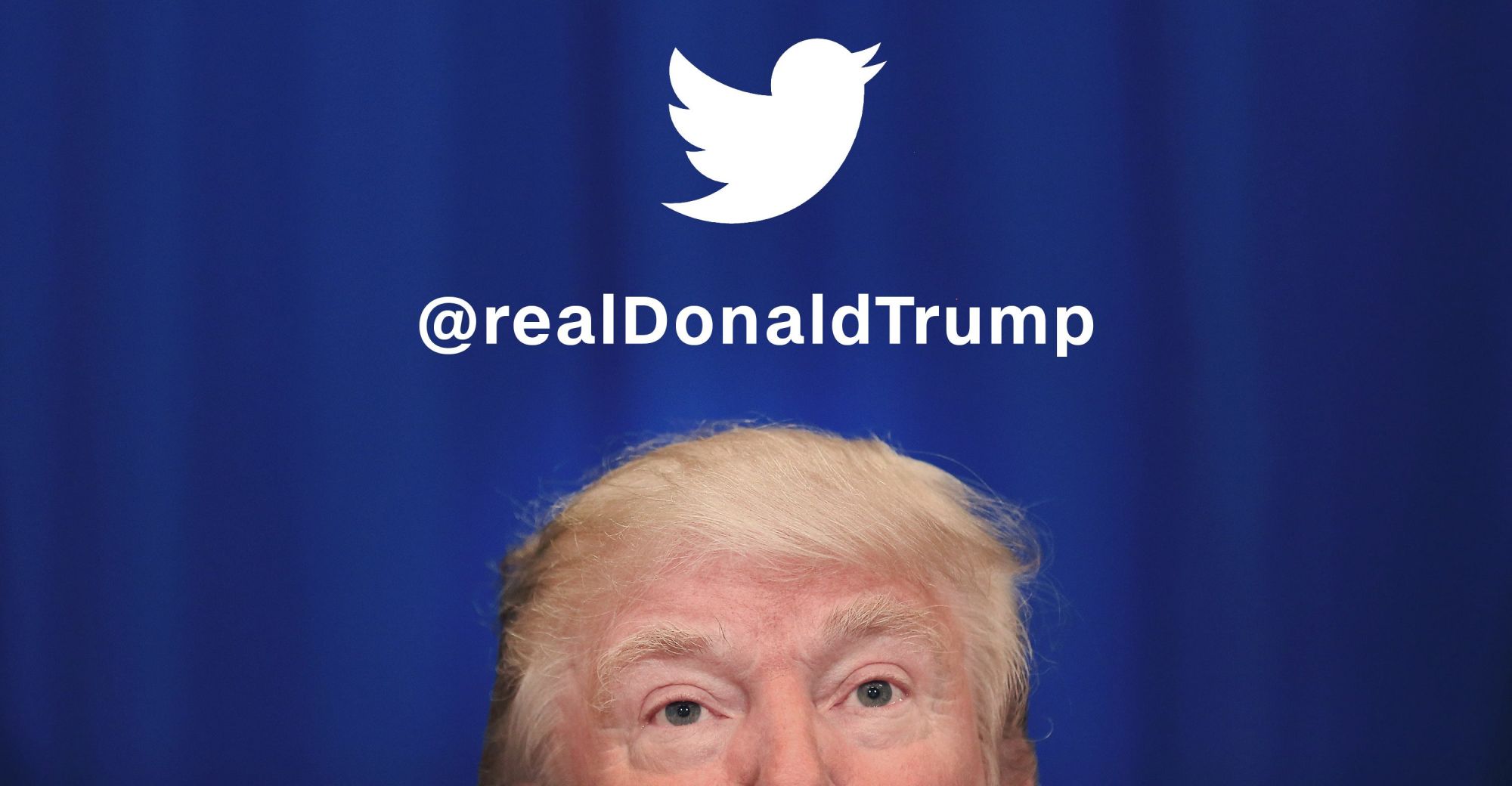 CNNE 583812 - 171102191557-twitter-at-real-donald-trump