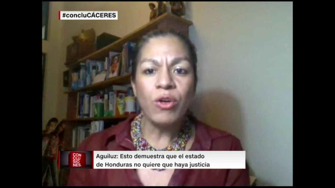 CNNE 586510 - fernando del rincon- ¿se busca encubrir a los autores del crimen de berta caceres?