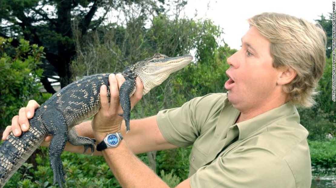 Steve Irwin