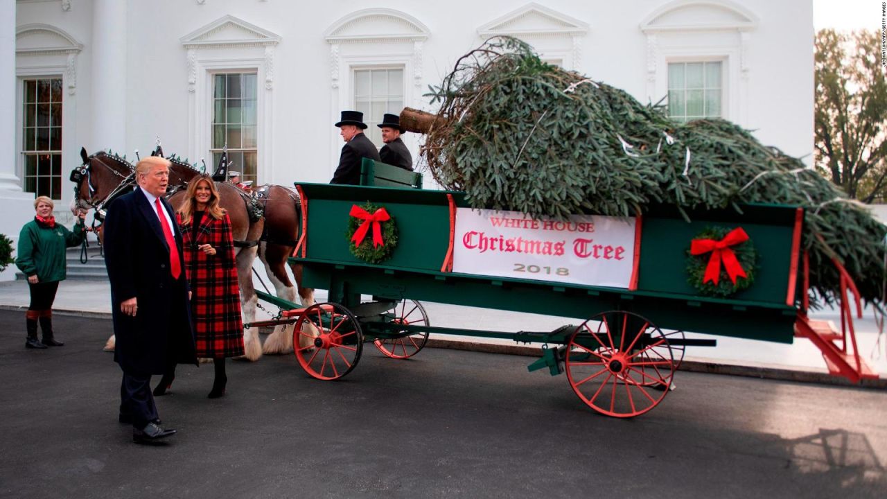 CNNE 589194 - arbol de navidad llega a casa blanca