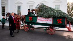 CNNE 589269 - llega el arbol de navidad a la casa blanca