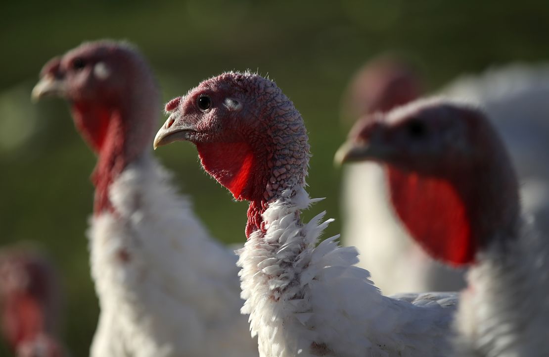 La carne de pavo es la más consumida por el Día de Acción de Gracias, en Estados Unidos.