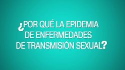 CNNE 591188 - la clave para parar la epidemia de ets es la prevencion