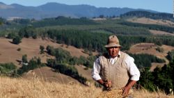 CNNE 591459 - fernando del rincon- "¿que ha fallado con la situacion que vive el pueblo mapuche?"