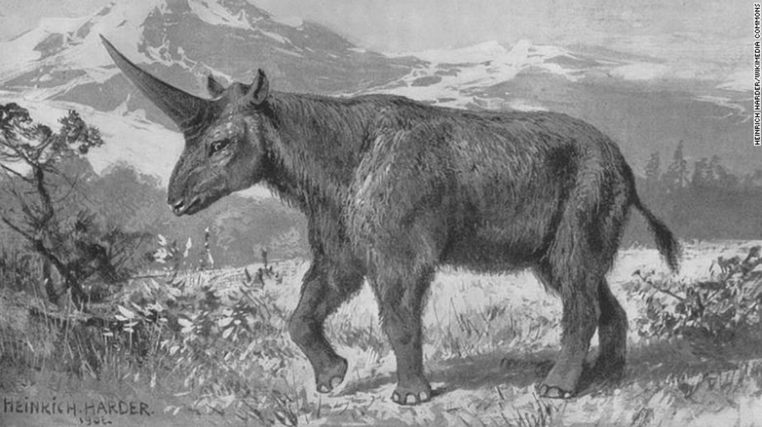 Una ilustración del Elasmotherium por Heinrich Harder, alrededor del año 1908.