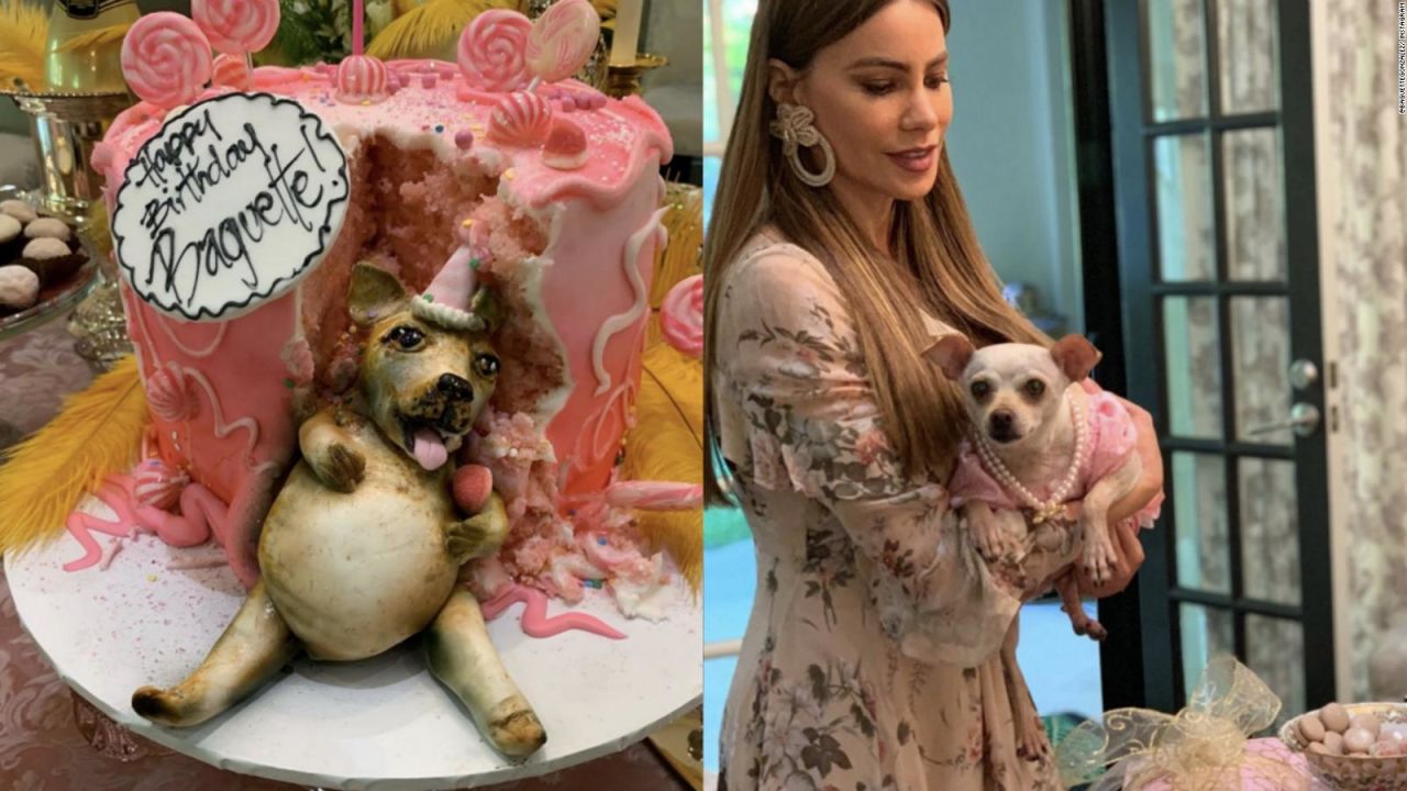 CNNE 594681 - sofia vergara dio un cumpleanos de lujo a esta perrita