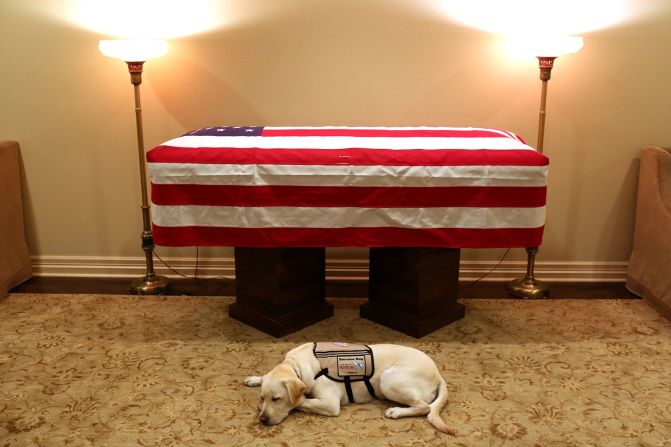 3 de diciembre - Sully, el perro de servicio del expresidente de Estados Unidos George Bush, descansa frente al féretro de Bush en una funeraria de Houston. Bush, patriarca de una de las dinastías políticas dominantes en EE.UU., falleció el 30 de noviembre a la edad de 94 años. Evan Sisley/Office of George H.W. Bush