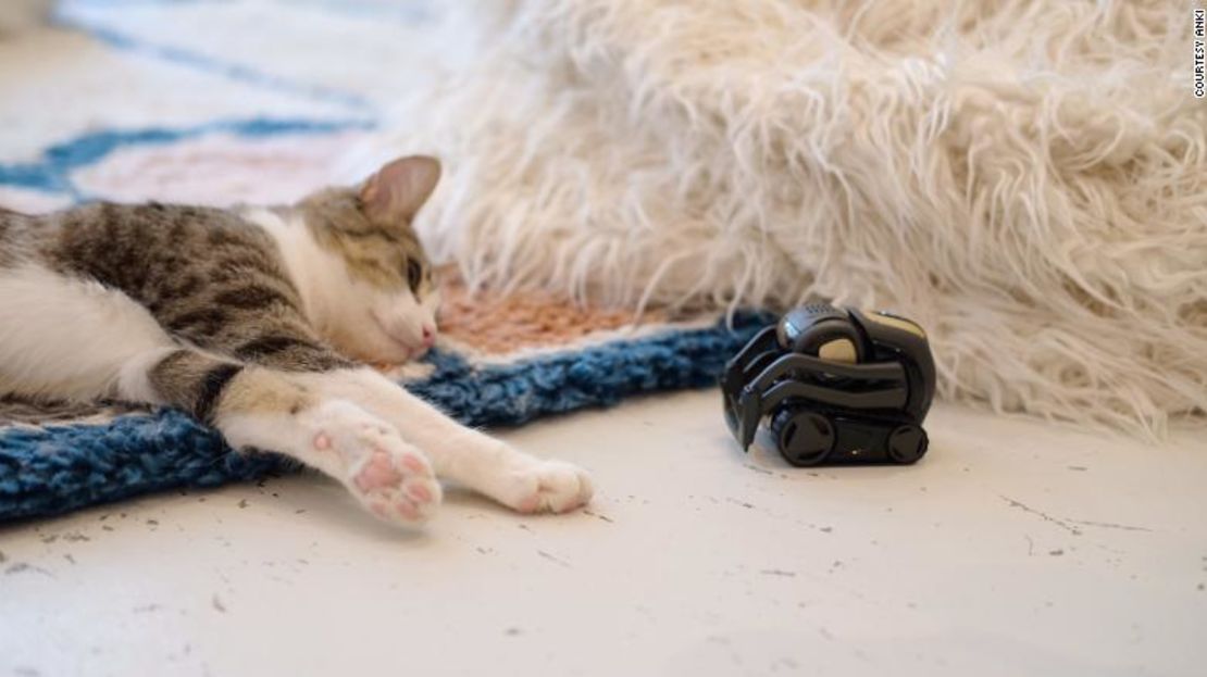 Un gato descansa cerca de un robot Vector en el café KitTea.