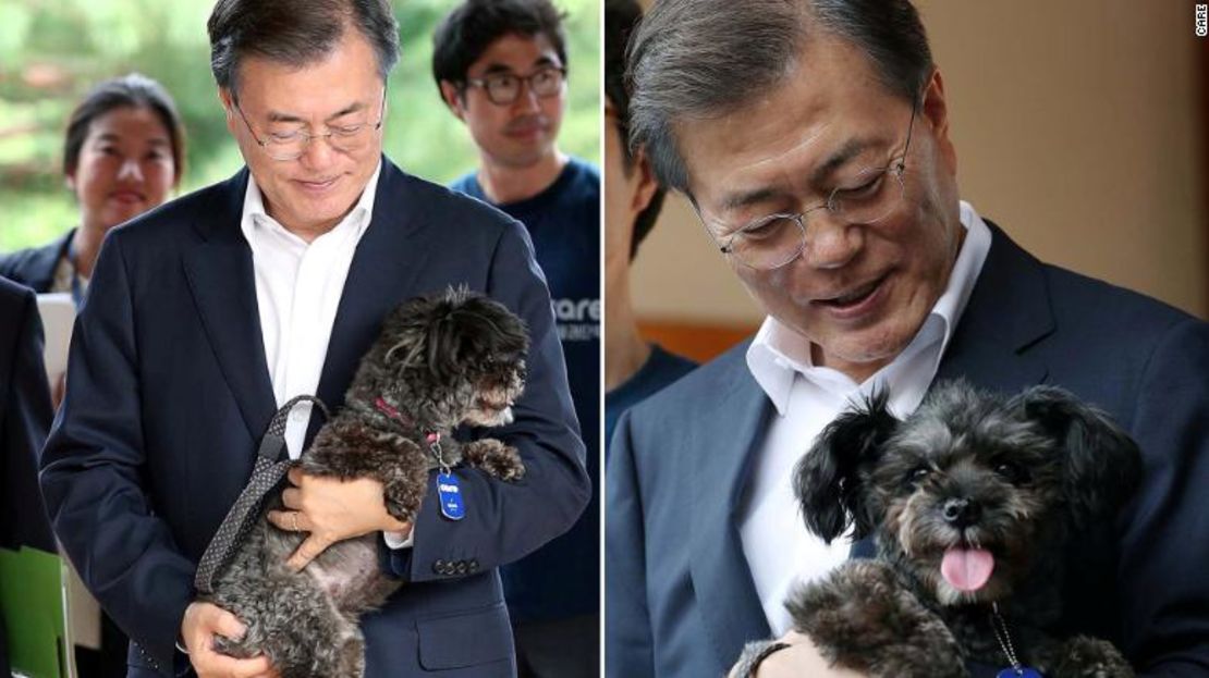 El presidente de Corea del Sur, Moon Jae-in, y su perro Tori.