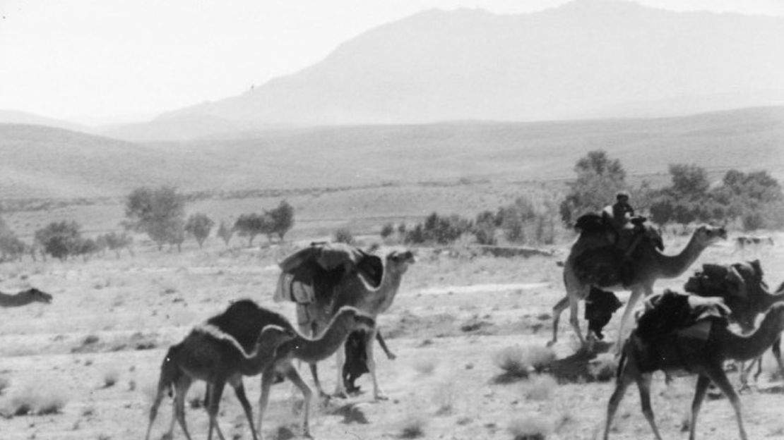 Mahanandia pedaleó a través de los desiertos de Pakistán, Afganistán e Irán.