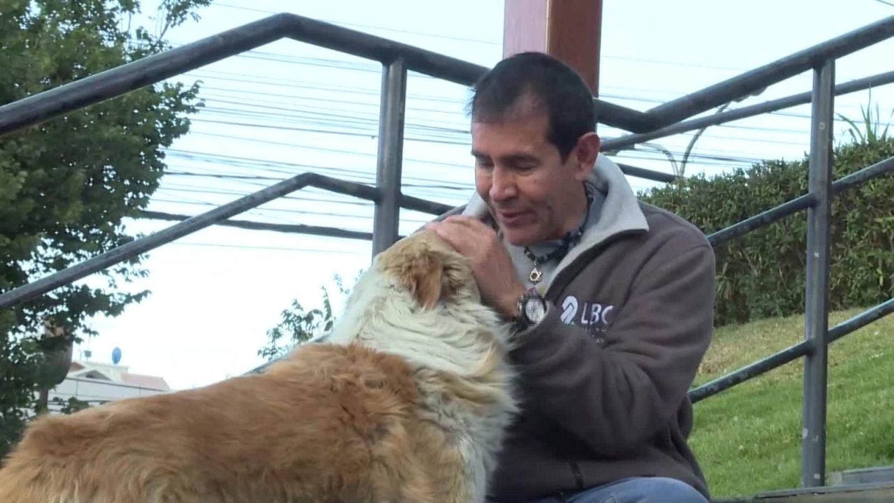 CNNE 600284 - la mision de este hombre es rescatar a los perros sin hogar de bolivia