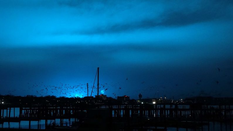 Aves sobrevuelan un muelle mientras una luz azul ilumina el cielo nocturno tras la explosión.