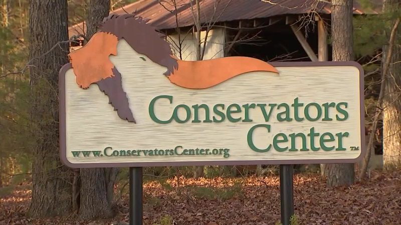 Muere pasante del zoológico tras ataque de un león | cnn