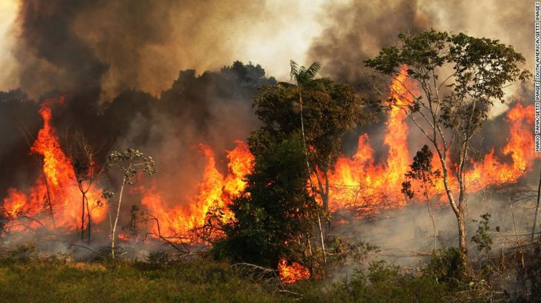 Un incendio quema árboles junto a las tierras de pastoreo en la cuenca del Amazonas el 22 de noviembre en Ze Doca, Brasil, 2014. Los incendios a menudo se propician para despejar el bosque para las tierras de pastoreo.