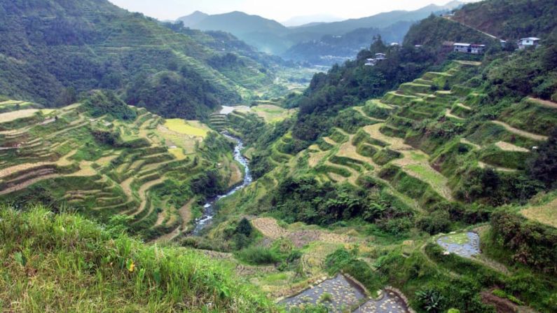 Islas Filipinas — Durante más de 2.000 años, el pueblo Ifugao de las cordilleras filipinas cultivan terrazas de arroz, pero el aumento de las temperaturas y las precipitaciones extremas son motivo de preocupación. La UCS dice que las tormentas más intensas reducen la estabilidad de las terrazas y pueden provocar deslizamientos de tierra y erosión.