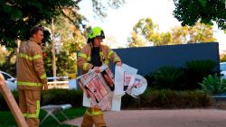 CNNE 603338 - australia- investigan procedencia de paquetes sospechosos en embajadas y consulados