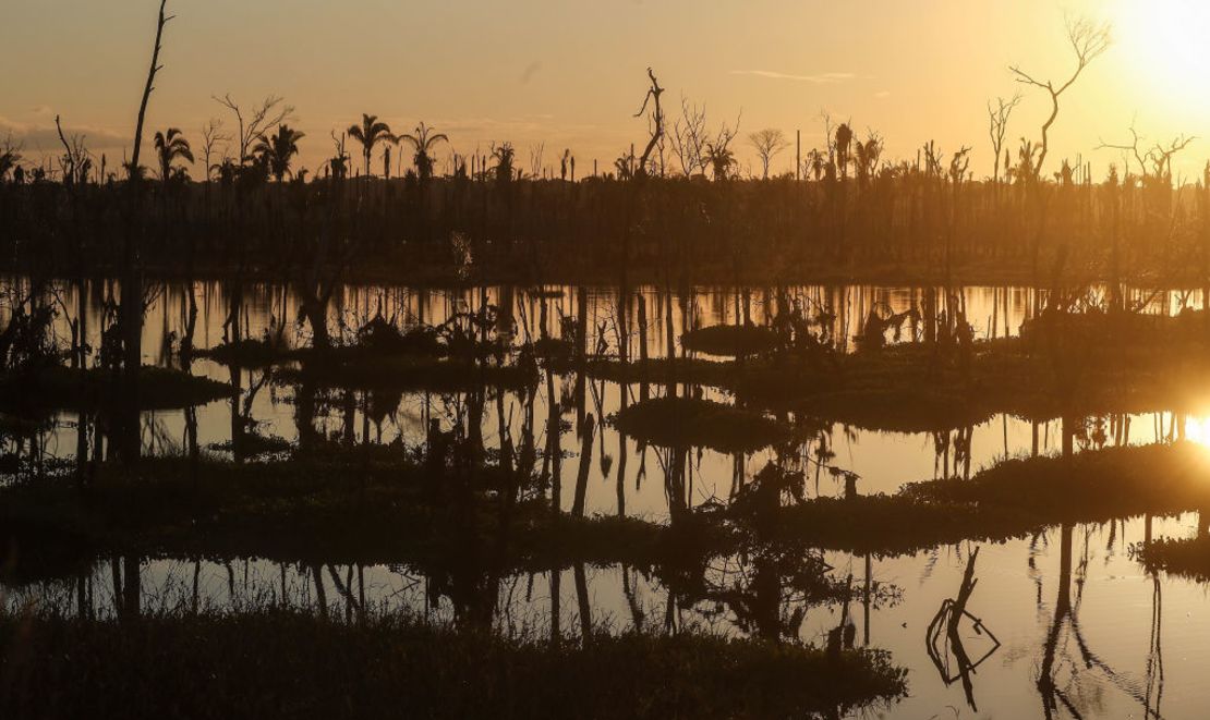 CNNE 604224 - fighting recession, level of deforestation in brazil reaches nine year high