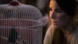 CNNE 606650 - #cifradeldia- 80 millones de visualizaciones para bird box