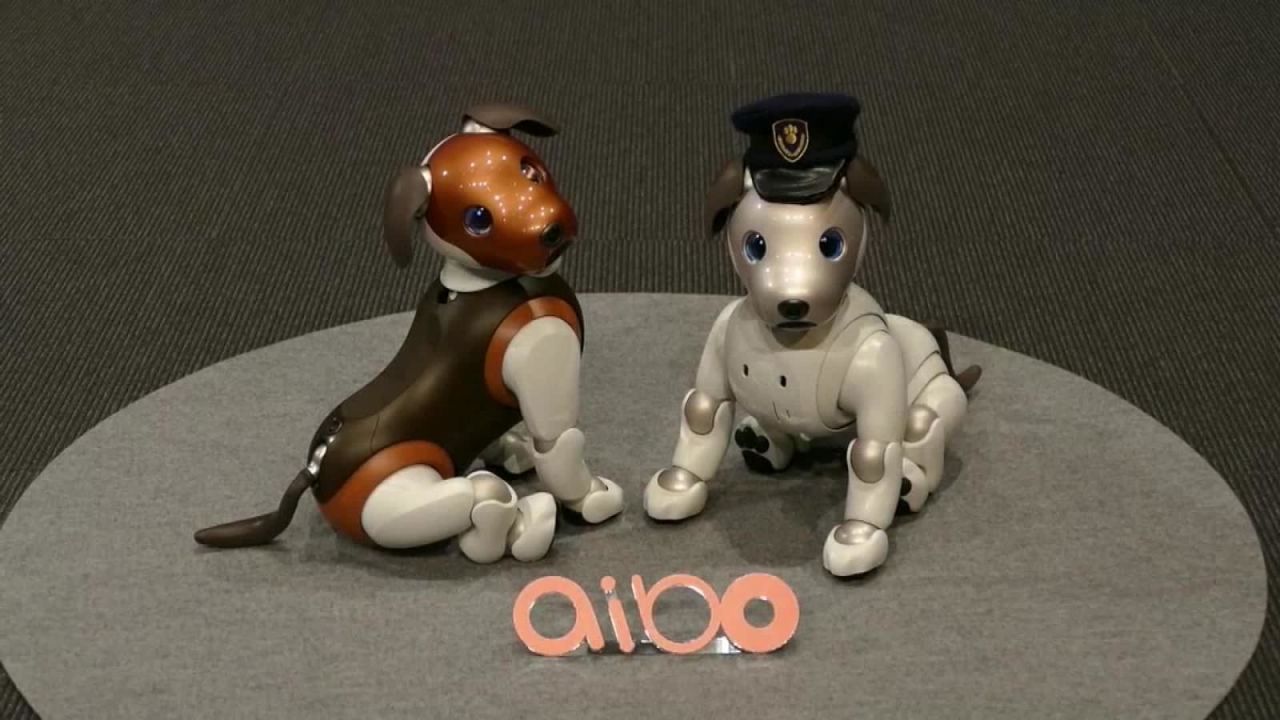 CNNE 608309 - sony- nueva funcion de su perro robot aibo