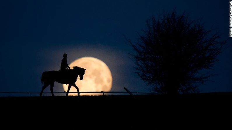 El multipremiado Edward Whitaker ganó el premio a mejor fotografía de caballos de carrera del año con su impresionante imagen de una rara superluna azul en Lambourn, Berkshire en enero de 2018. "Sabía de un punto donde el ángulo era simplemente perfecto", aseguró. Aquí habla a Deportes CNN a través de siete de sus imágenes favoritas.