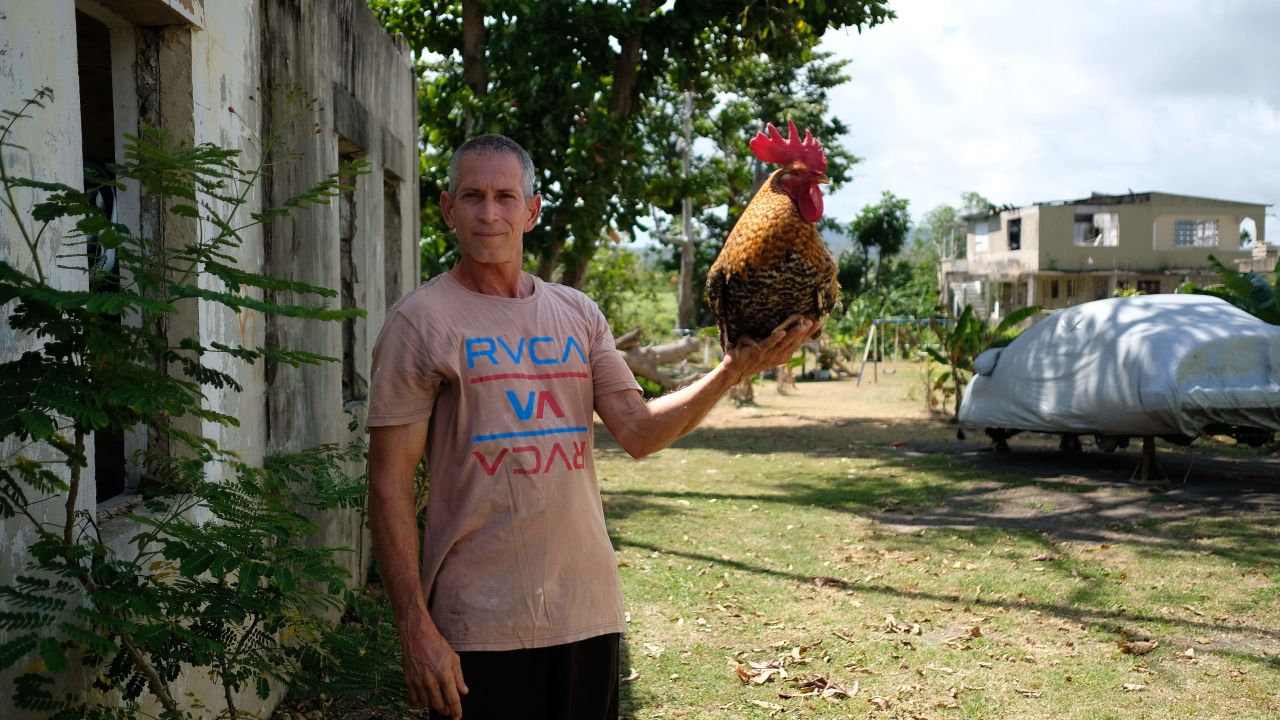 Eduardo Caban poses with his rooster named Coco which he rescued from drowning after the garage the bird was in started to flood during the passing of Hurricane Maria six months after the storm affected the island in Fajardo, Puerto Rico on March 17, 2018.
Six months after Hurricane Maria hit the island on September 20, 2017 uprooting trees, destroying homes, and causing widespread flooding, many remain without power. / AFP PHOTO / Ricardo ARDUENGO