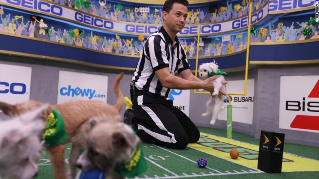 Dan Schachner, el árbitro del Puppy Bowl, sostiene a Pistachio, el competidor más pequeño del Puppy Bowl, después de que haber marcado un gol.