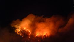 CNNE 617204 - devastadores incendios en chile