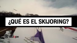 CNNE 620964 - ¿que es el skijoring?