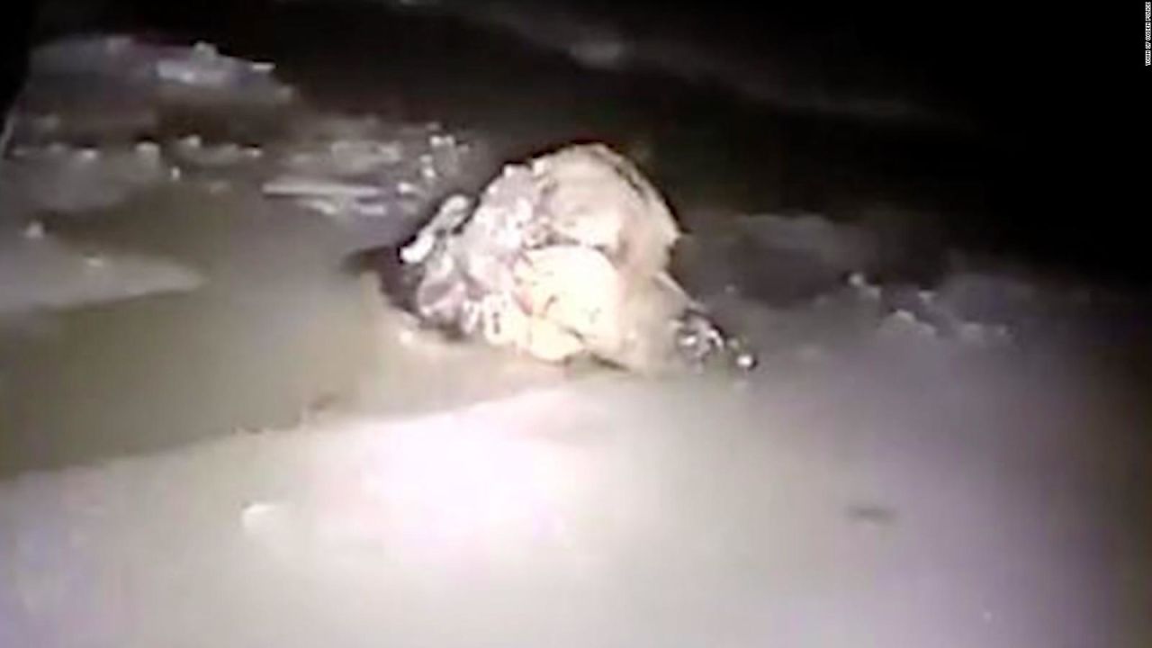 CNNE 621326 - policia rescata a perro atrapado en el hielo