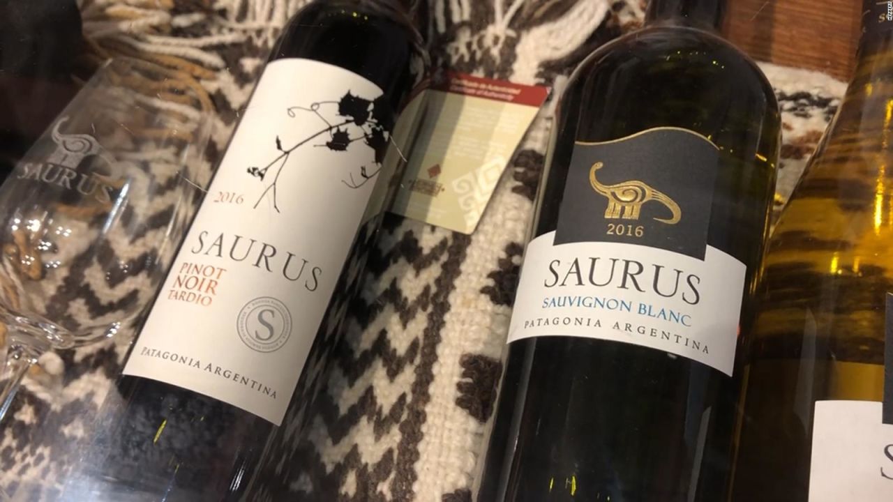 CNNE 621334 - conoce la bodega de vinos en la que hallaron un dinosaurio de 75 millones de anos