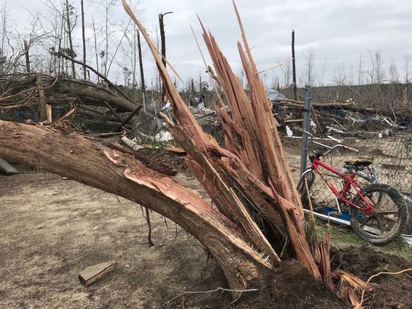 Los primeros avisos de tornados se emitieron alrededor del mediodía del domingo, pero se esperaba que permanecieran en Georgia y Carolina del Sur hasta las 11 de la noche del domingo.