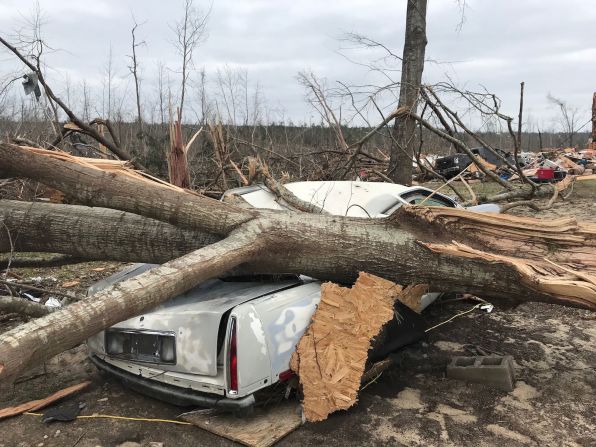 Un auto quedó aplastado por el tronco de un árbol que le cayó encima tras los potentes tornados de este fin de semana.