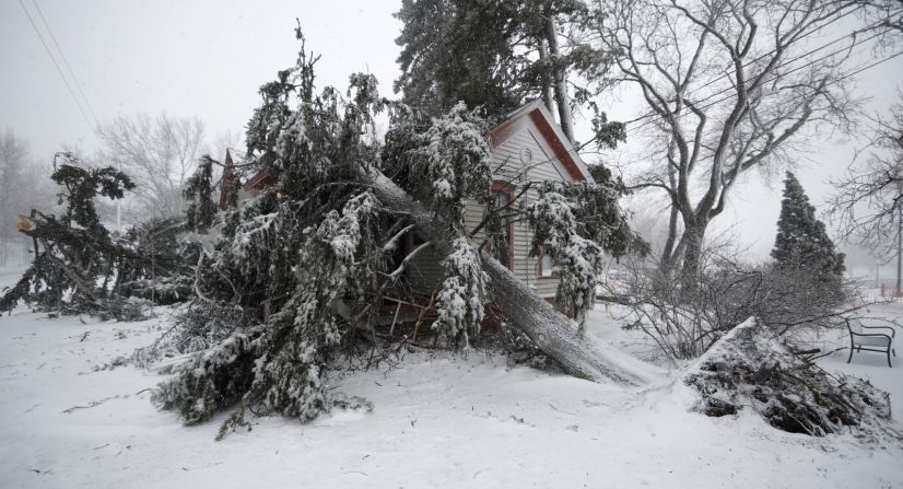 Árboles caídos por los fuertes vientos de una tormenta de invierno tardío que lleva vientos huracanados y nieve cubren la Eugene Field House en Washington Park en Denver.