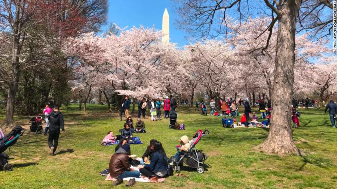 El primer día de la primavera en el hemisferio norte este año cae este 20 de marzo.