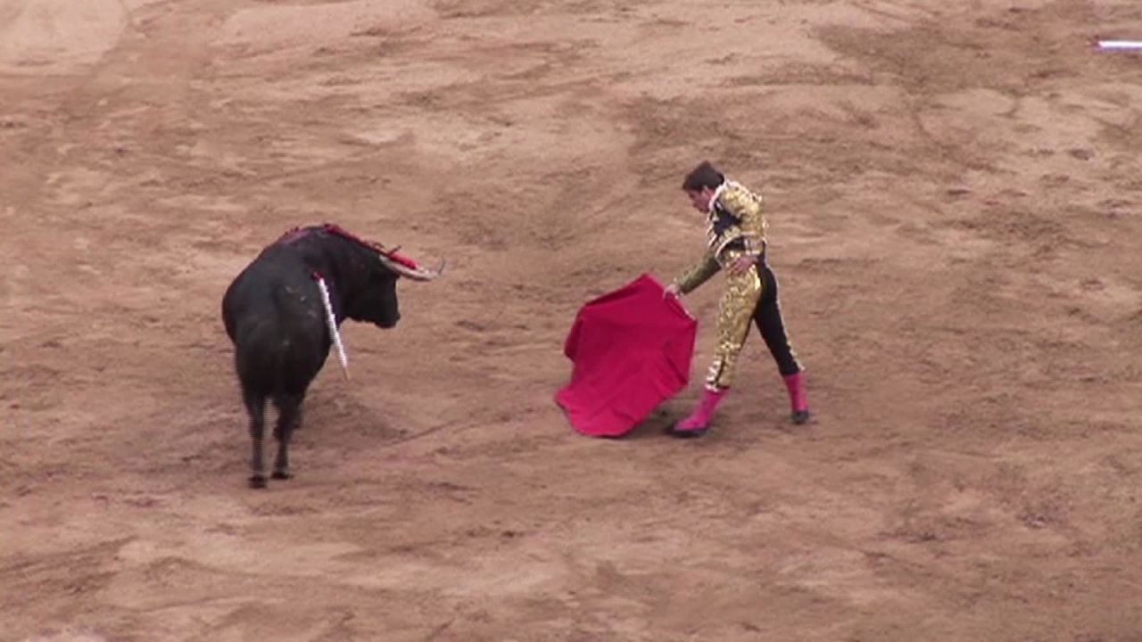 CNNE 631242 - las corridas de toros no son maltrato animal, ratifica corte constitucional de colombia