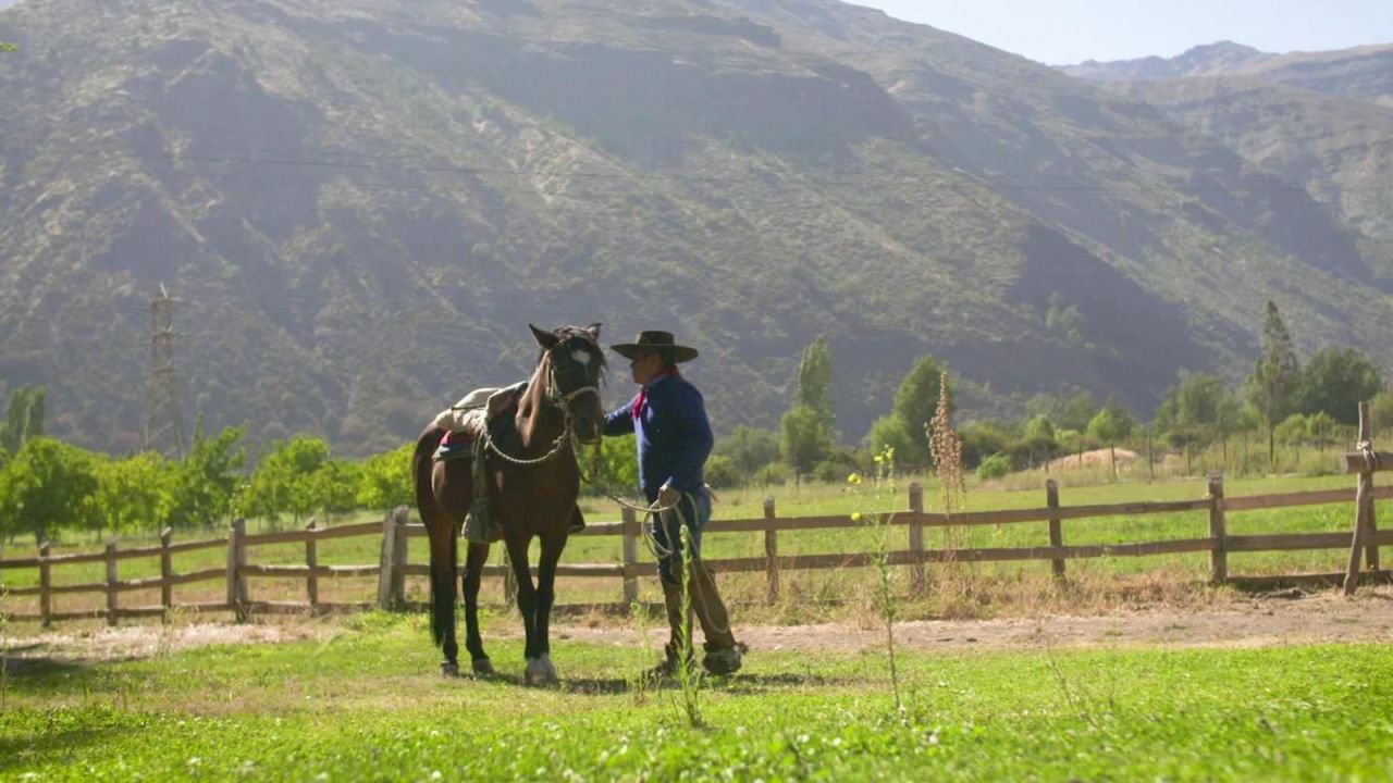 CNNE 632973 - arrieros, legado nacido en los andes