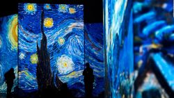 CNNE 634415 - acercate a van gogh con amiex