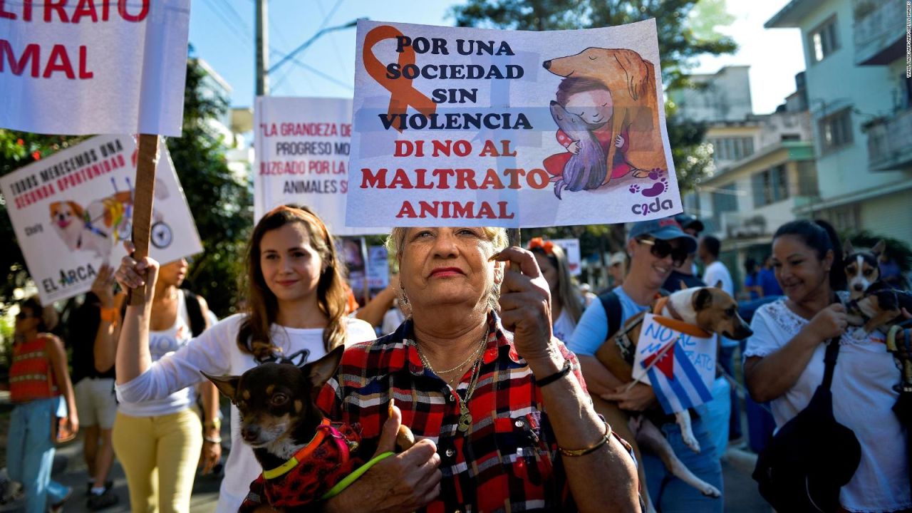 CNNE 634971 - marchas piden ley contra abuso animal