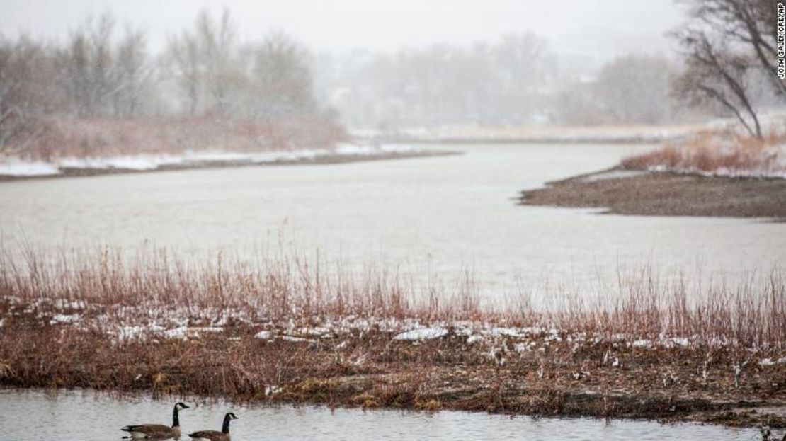 Un par de gansos nadaban en un lago a lo largo del río North Platte mientras la nieve caía en Casper, Wyoming, el 10 de abril de 2019. Una tormenta de invierno trajo poca visibilidad y nieve húmeda, pero la acumulación en el área de Casper fue inferior a la prevista originalmente.