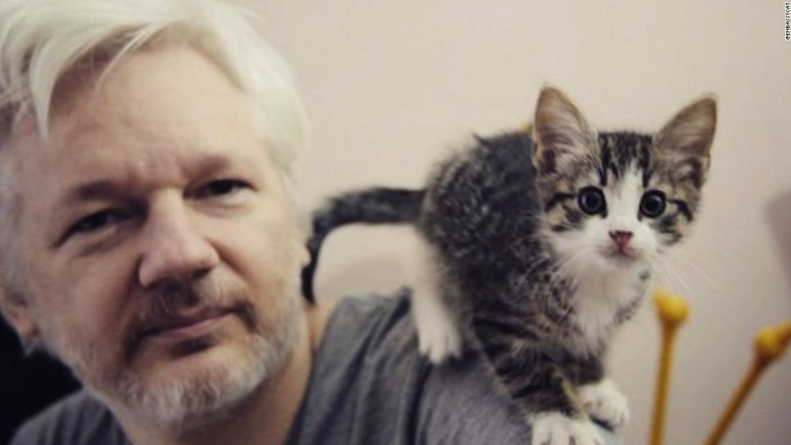 CNNE 636662 - assange-embajada-ecuador-gato