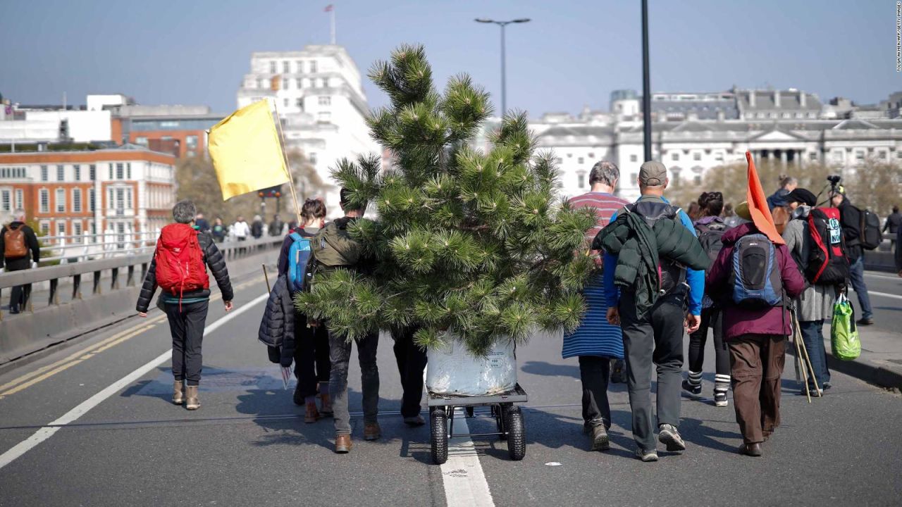 CNNE 637757 - activistas en londres protestan con plantas y arboles