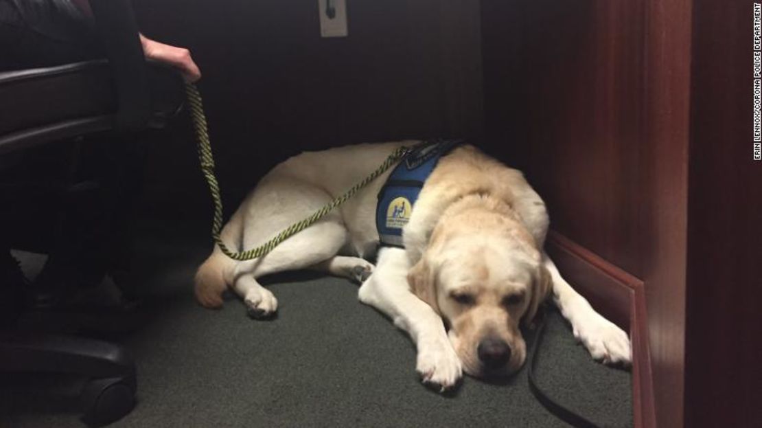 Raider, un perro del Departamento de Policía de Corona, ha apoyado a los hermanos Turpin durante más de un año, dijo su guía.