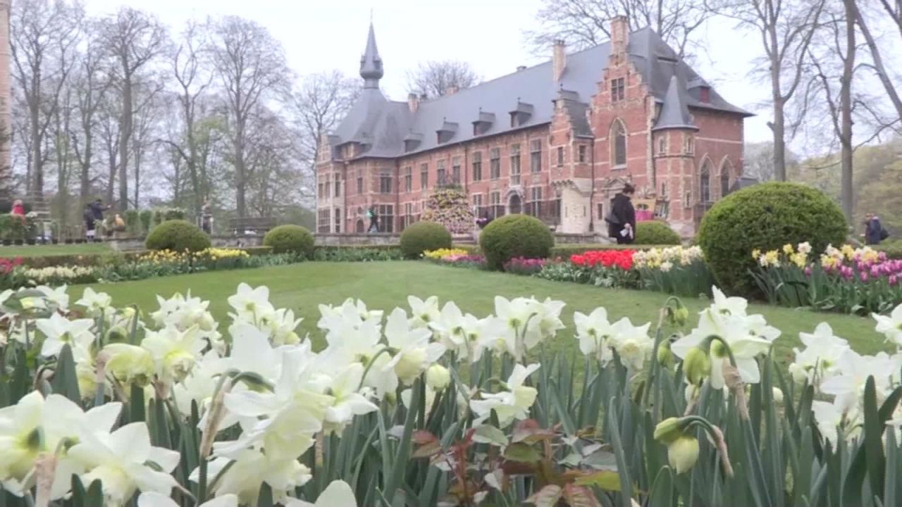 CNNE 640524 - da inicio tradicional festival de flores en belgica