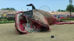 CNNE 642657 - #laimagendeldia- impactante escultura de ballena muerta con basura