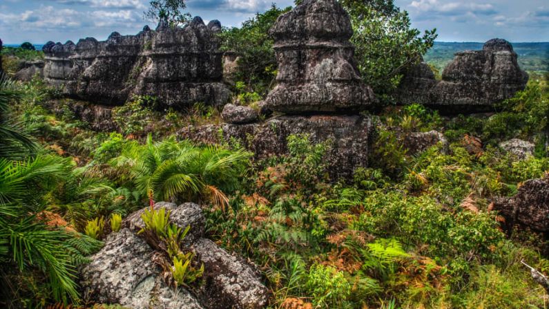 Parque Nacional Sierra de la Macarena: la mayoría de los tours tienen una duración de dos a cuatro días y te llevarán a otras áreas del parque, que bien merecen una visita.