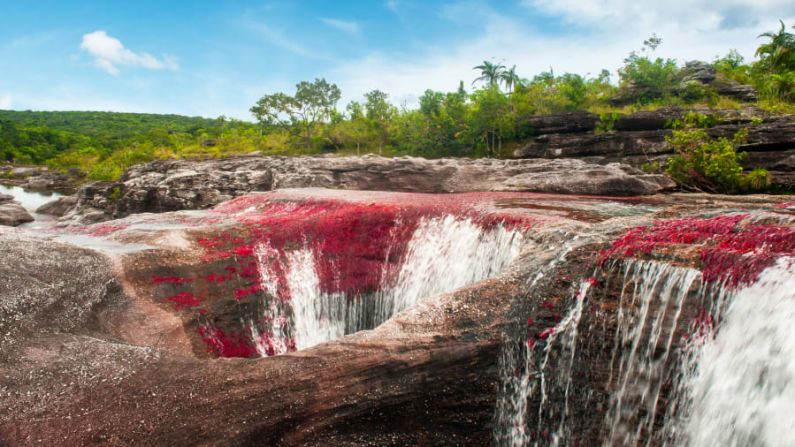 Protegiendo el río: durante la temporada seca, el río está cerrado al público para permitir que la ecología del área se recupere del impacto de los visitantes.