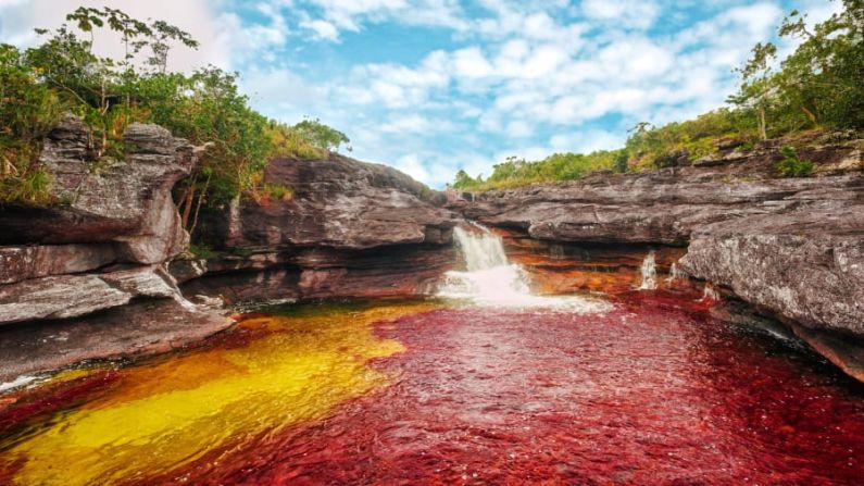 Caño Cristales: el impresionante "Río de los Cinco Colores" de Colombia se encuentra en el Parque Nacional Sierra de la Macarena, en el departamento del Meta. Haz clic a través de la galería para ver más fotos de este río arcoíris (Cortesía ProColombia) →