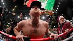 CNNE 646024 - canelo alvarez sobre golovkin- "que bueno que es mi fan"